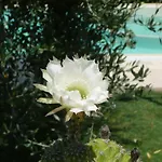 Bed & Breakfast Il Baraccotto 4*