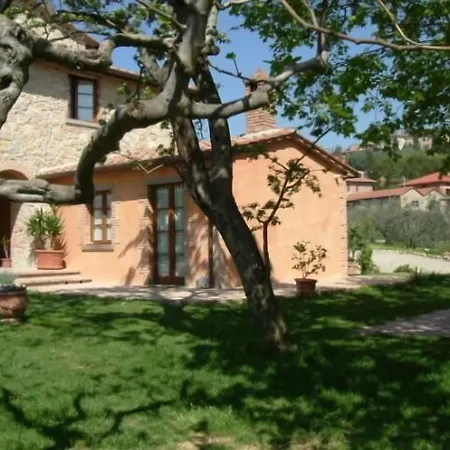 Il Baraccotto
